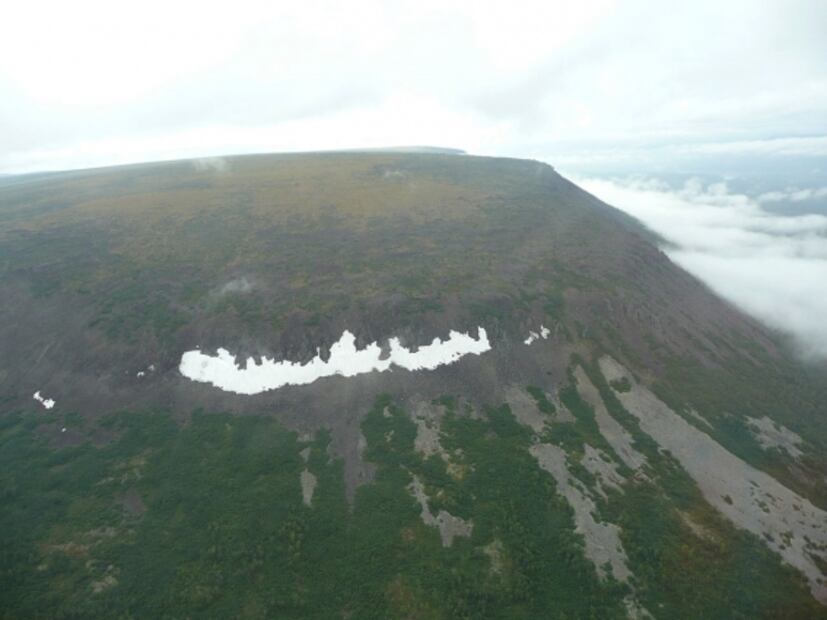 Las 5 extinciones masivas que han devastado a la Tierra, ¿nos adentramos a una más? 