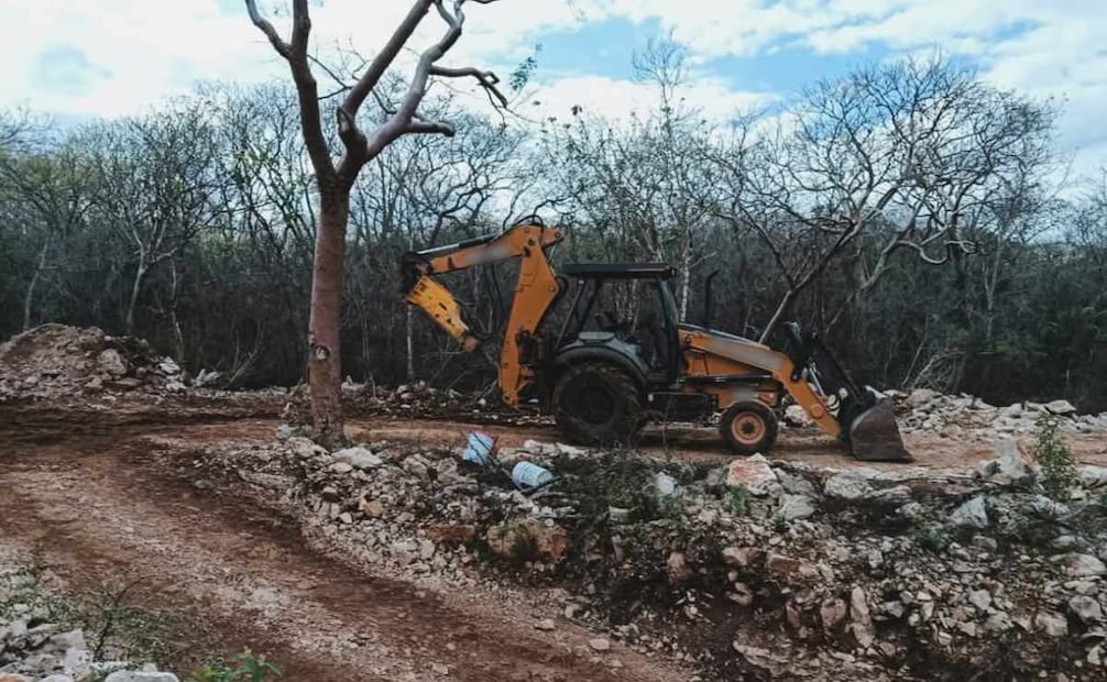 Profepa clausura proyecto turístico en Abalá, Yucatán; detectan afectaciones directas en más de 10 mil metros cuadrados de selva y cenote.
Foto: Especial.
