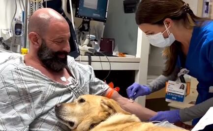 VIDEO: Magnus, el perro terapéutico que acompaña todos los días a su dueño internado en un hospital