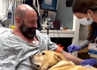 VIDEO: Magnus, el perro terapéutico que acompaña todos los días a su dueño internado en un hospital