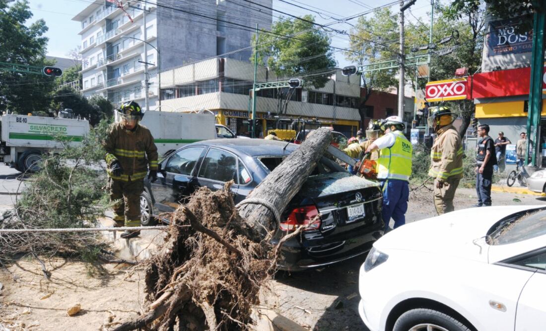 En la delegación Benito Juárez un árbol cayó sobre un auto en la calle Matías Romero de la colonia Vértiz Narvarte; hubo otros cuatro ejemplares caídos (EDUARDO SÁNCHEZ. EL UNIVERSAL)