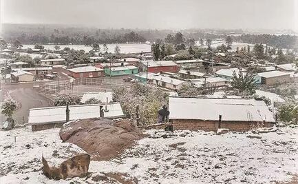Chihuahua: Cae nieve en la localidad de El Vergel