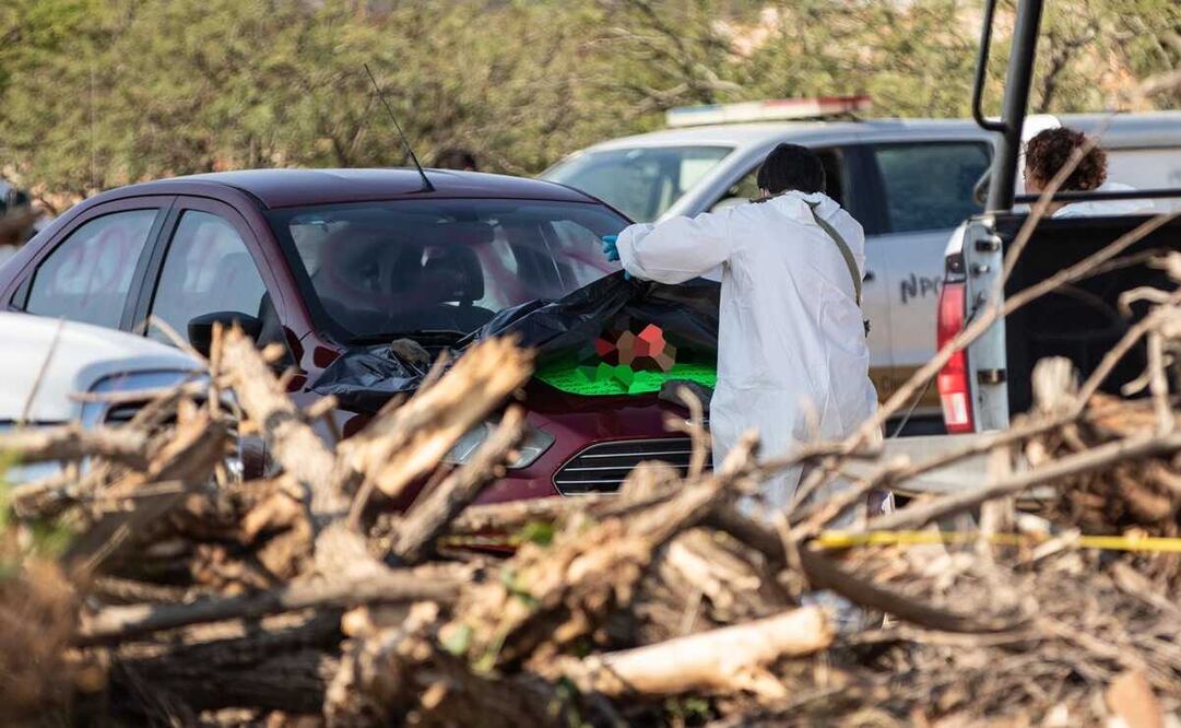Estos crímenes aumentaron en más de 22% respecto a los registros de 2021, y de 12% en comparación a 2022. Foto: El Universal