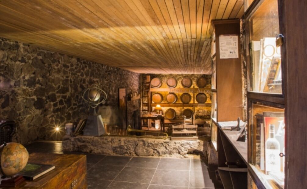 ¡A pisar las uvas! 8 fiestas de la vendimia en Querétaro