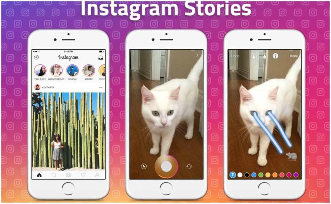 Los hashtags de ciudades más usados fueron #CDMX, #Puebla, #MexicoCity #Monterrey, #Guadalajara y #Cancún