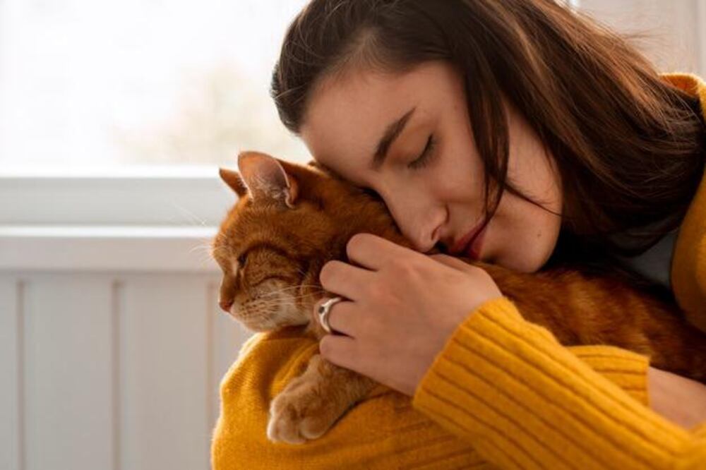 El lenguaje de los gatos. Fuente: Freepik.