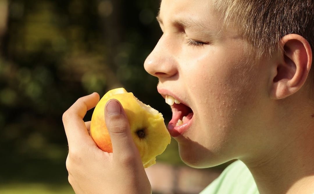 Nutrición. Fuente: Pixabay