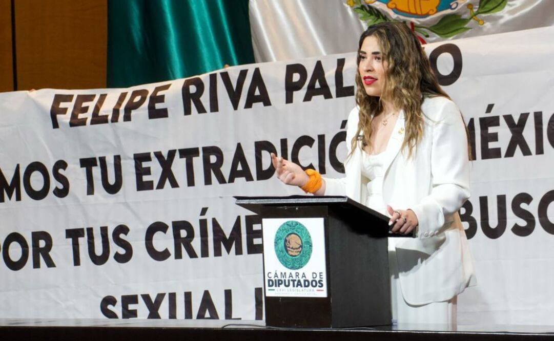 María Teresa Ealy Díaz exhorta a la FGR, SRE y Embajada de México en España a garantizar la extradición de Felipe Riva Palacio. Foto: Especial