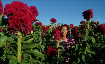 Ofrenda a la 4T, maratón en la Sierra Tarahumara y preparaciones para Día de Muertos, en las fotos de la semana