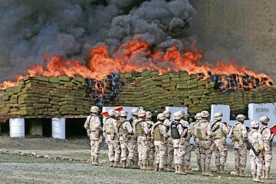 Disminuyen los golpes del Ejército al narco 