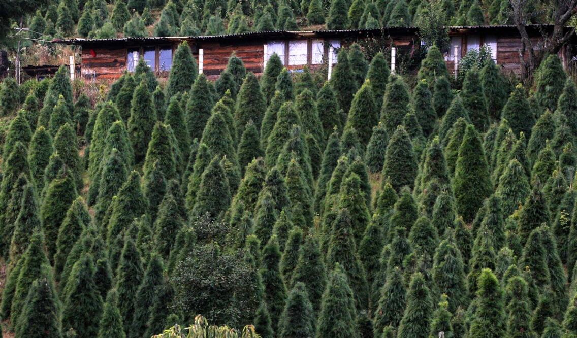 (Foto: Archivo EL UNIVERSAL)