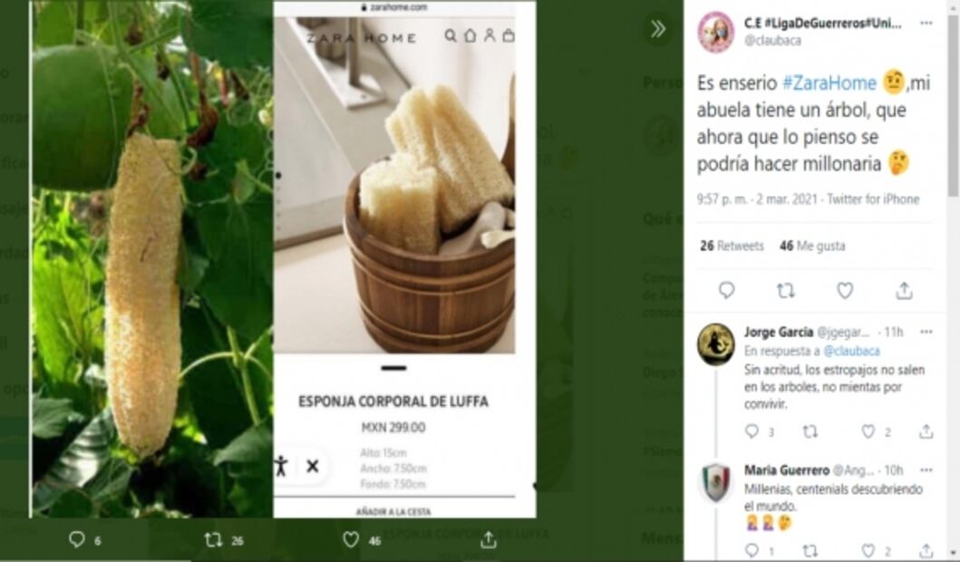 Famosa tienda vende un zacate en 300 pesos y esto genera polémica en redes sociales