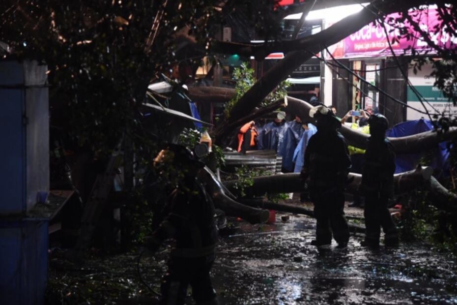 Lluvias del 15 de septiembre dejan un muerto; le cayó un árbol en la colonia Del Valle