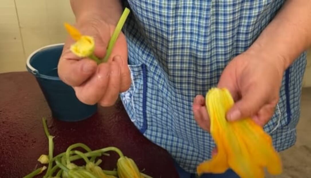 Receta: Flor de calabaza capeada de Doña Ángela 