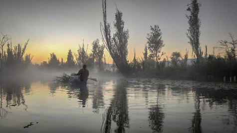 Fin de semana en CDMX: 5 experiencias y lugares imperdibles