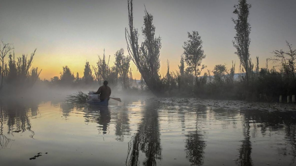 Foto: Hecho en Xochimilco