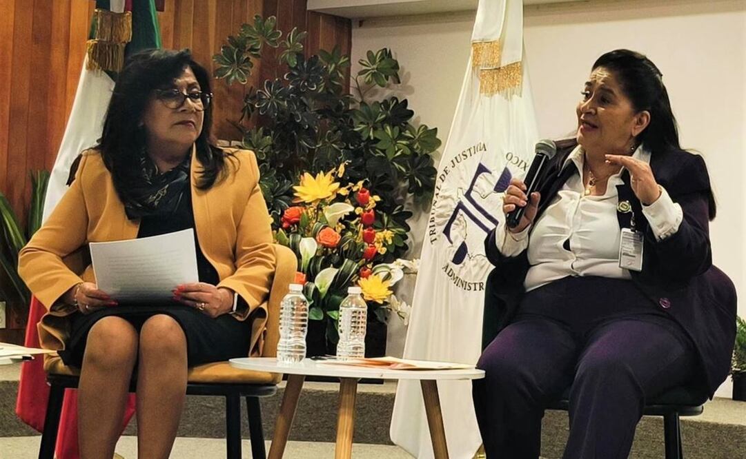 Yolanda Rangel Balmaceda participó en el foro El trabajo doméstico y de cuidados, organizado por el Comité Interinstitucional de Igualdad Sustantiva. Foto: especial