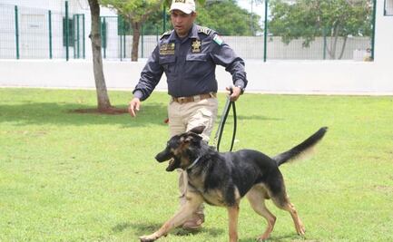 ¿Qué hace de Yucatán un modelo de éxito en seguridad?