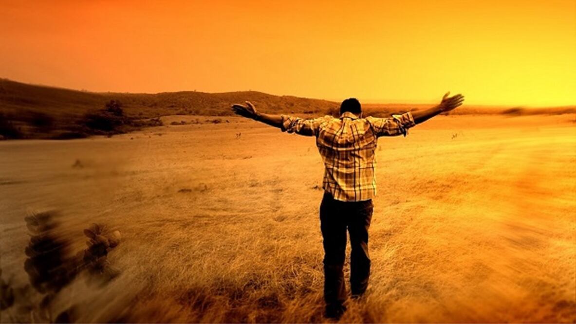 Haz de la gratitud un hábito