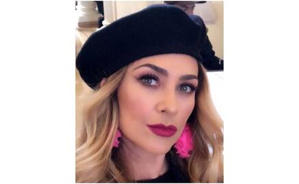 Aracely Arámbula cocina en bikini y enloquece a fans