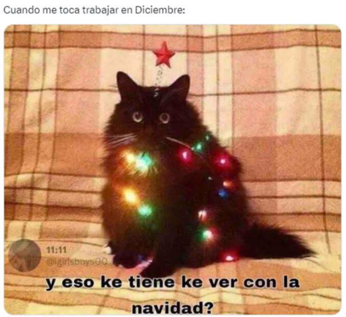 Foto: Vía X, antes Twitter.