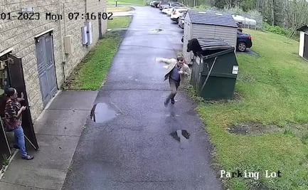 Oso sorprende a director de una escuela en Virginia y se hace viral