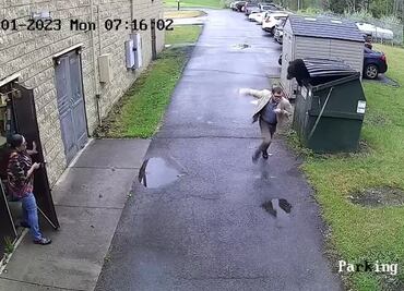Oso sorprende a director de una escuela en Virginia y se hace viral