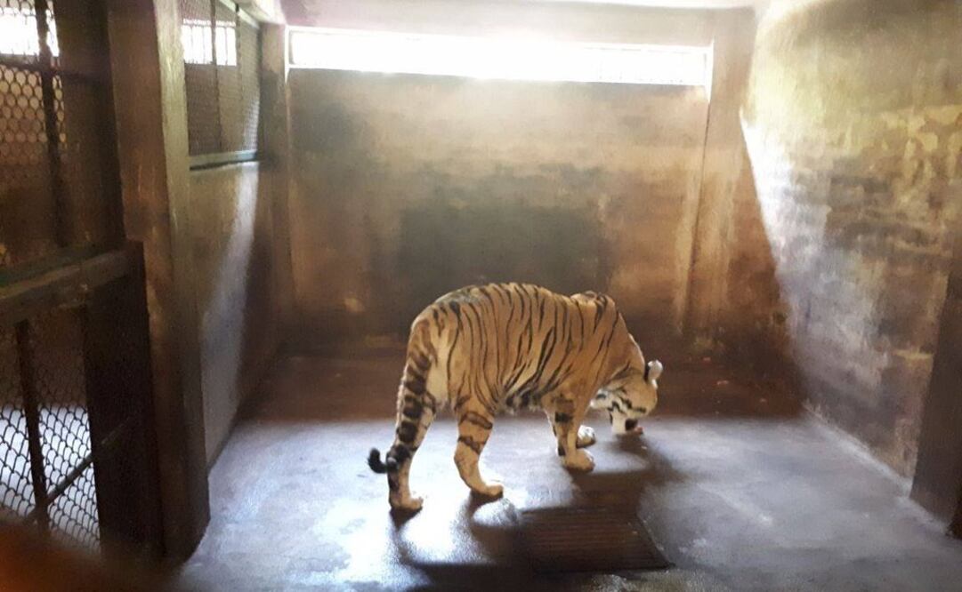 Foto: Tomada de Facebook