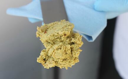 El aguacate, el nuevo alimento de los cerdos