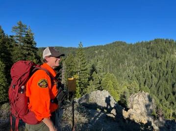 Gobierno de Trump abrirá bosques vírgenes a la tala; rescindirá protección ambiental que data de hace 25 años