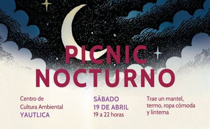 Picnic nocturno en Iztapalapa; cine, música y talleres en un entorno natural