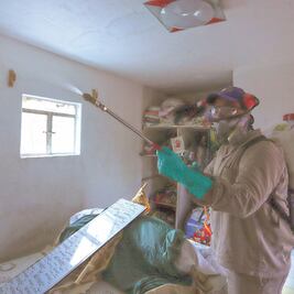 Repuntan casos de dengue en la entidad