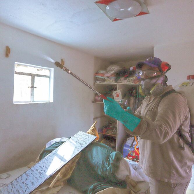 Prevención. En Morelos, el sector Salud reforzó las acciones de control del mosco transmisor del dengue, chikungunya y zika. ARCHIVO EL UNIVERSAL