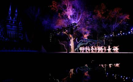 Reposición de "El lago de los cisnes" se verá en "streaming"