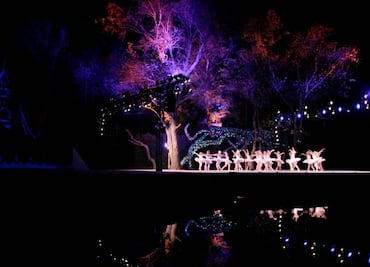 Reposición de "El lago de los cisnes" se verá en "streaming"