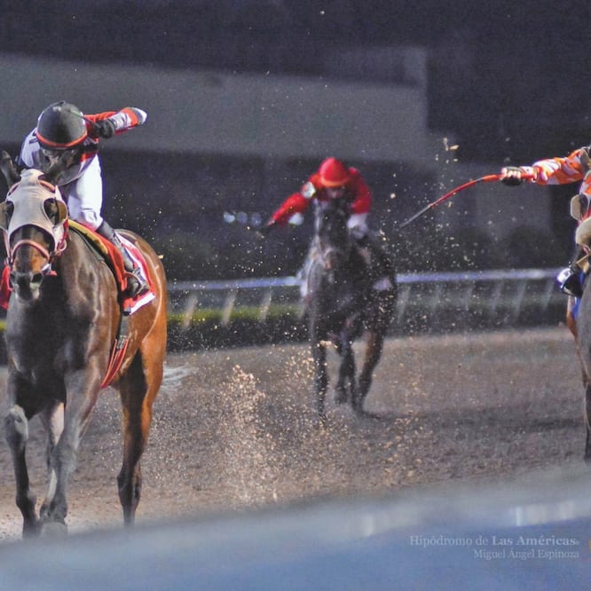  Icebow detuvo el cronómetro en 1:39.4 al recorrer la milla de distancia. HIPÓDROMO DE LAS AMÉRICAS