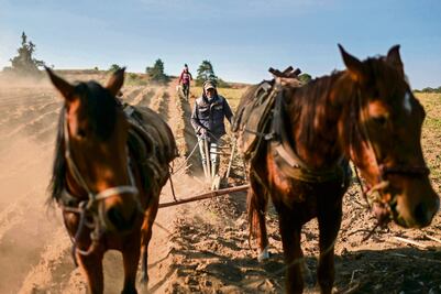Predomina en el agro la gente mayor: Inegi