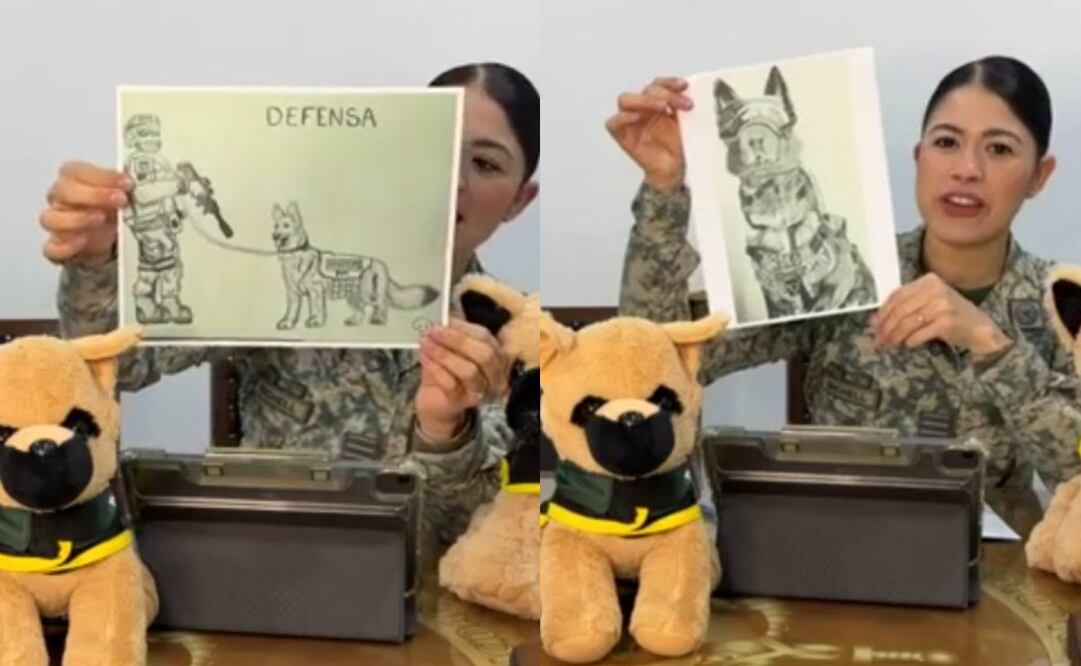 Dibujos ganadores del primer Concurso de Dibujo del “Día del Perro” de la Defensa. Foto: Especial