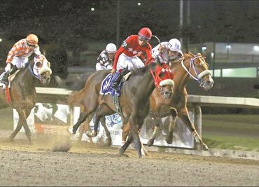 El trabajo de empleados del Hipódromo de las Américas peligra