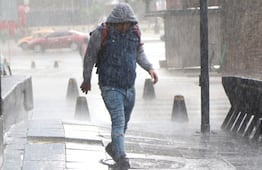 Suman 300 hectáreas dañadas por  granizada