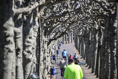 Mujer de 101 años escapa de residencia de ancianos en Alemania para ver a su hija
