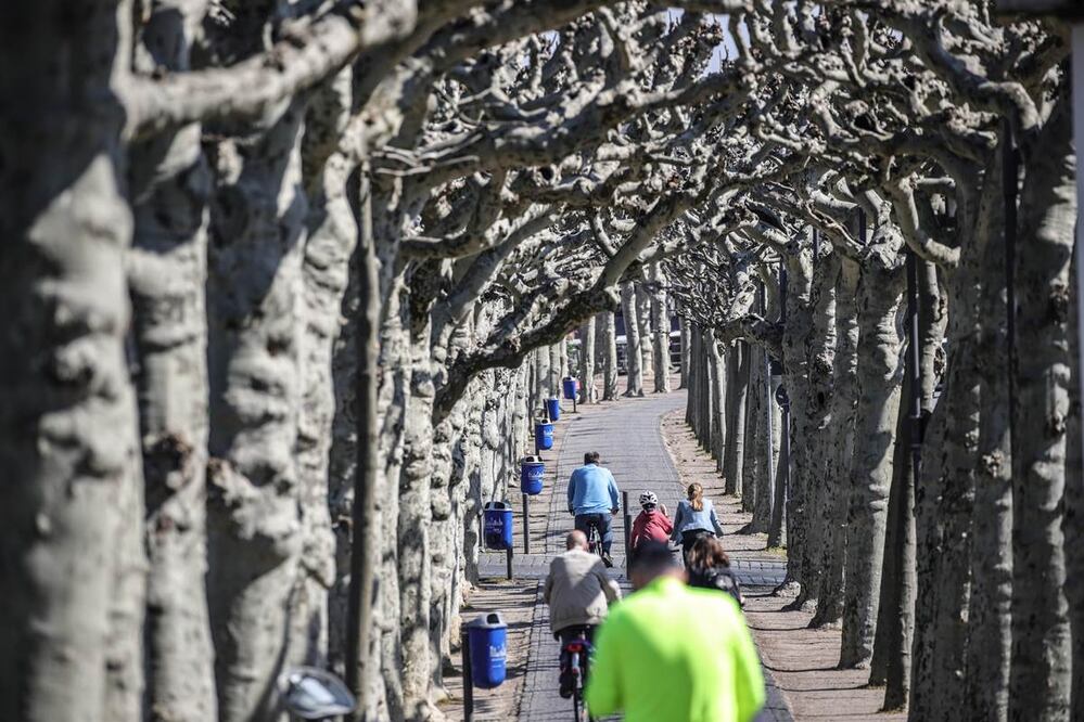 (Alemania) EFE/EPA/ARMANDO BABANI