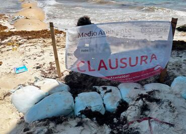 Profepa clausura obras para Tour Mundial de Voleibol en Playa del Carmen; investigan posible impacto ambiental