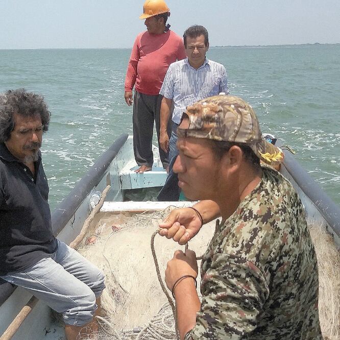 A falta de peces en la zona lagunar, los pescadores han tratado de comercializar la medusa que invade la zona; sin embargo, carecen de permisos. ALBERTO LÓPEZ/EL UNIVERSAL