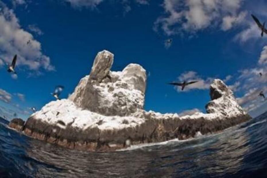 Revillagigedo es declarado Parque Nacional libre de pesca y de hoteles