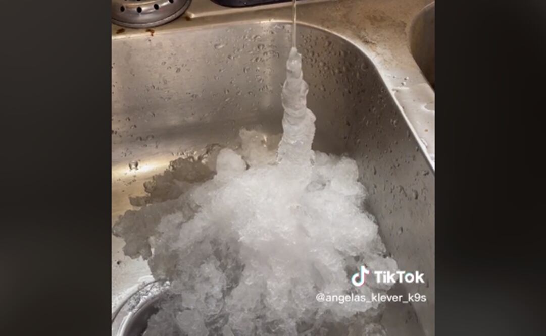 Foto: tomada de TikTok. @angelas_klever_k9s