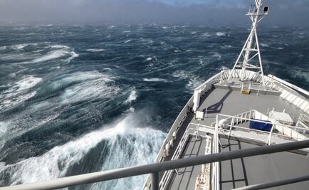 Descubren 44 nuevos virus de los más abundantes en todos los océanos