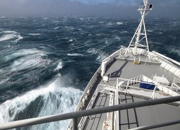 Descubren 44 nuevos virus de los más abundantes en todos los océanos