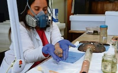 Investigadores ven crisis profunda en el INAH