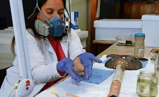 Investigadores ven crisis profunda en el INAH